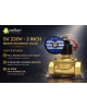 Wellon SV 220V 2 Inch Brass Solenoid Valve – Heavy Duty Industrial Water Control Valve (0–10 kg/cm²)